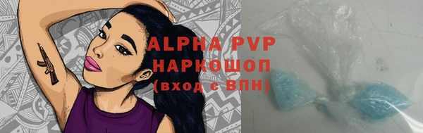 a pvp Ельня