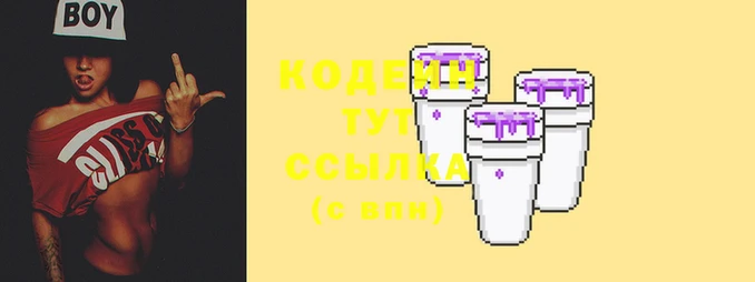 МДПВ Каменногорск