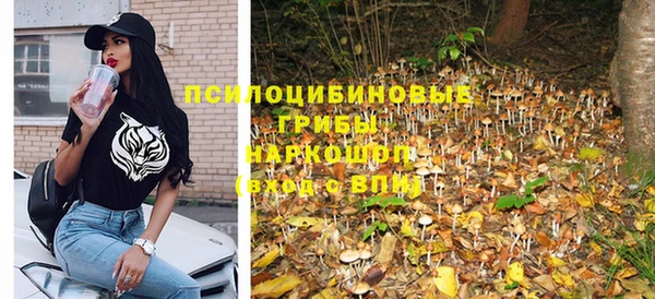 трава Елабуга